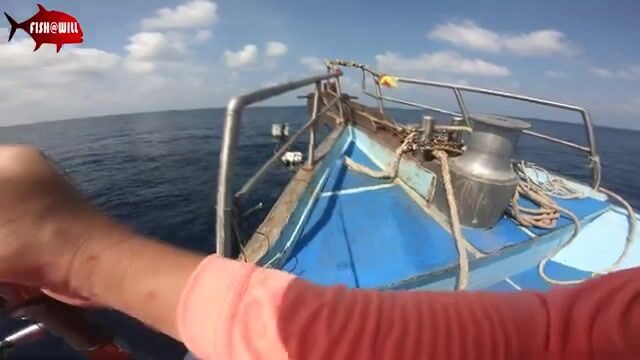 Андаманское море отдаёт стаи тунца под джиг на рассвете