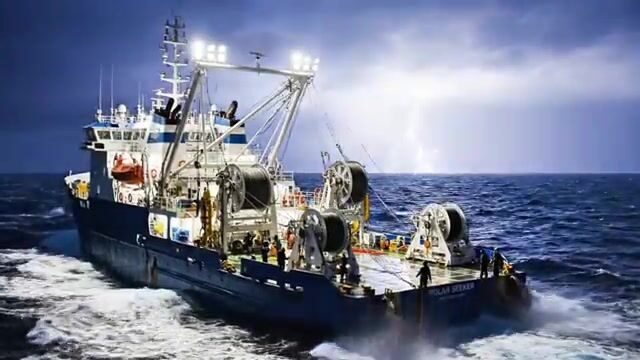 Держись крепче - палтус берёт на самой кромке Северного Ледовитого