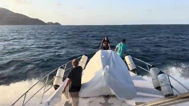 Кэрнс, Куктаун, риф Риббон-10 - три точки одного марлиньего похода