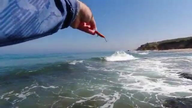 Что клюёт на рассвете у мола в Ашдоде?