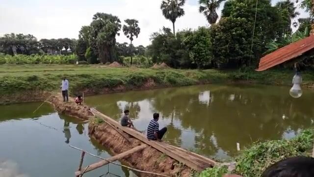 Камбоджийский пруд у манговой рощи, где чужая беда открыла нам воду