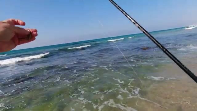 Ашкелон, 26 октября: штиль, прозрачная вода и сарагус под занавес