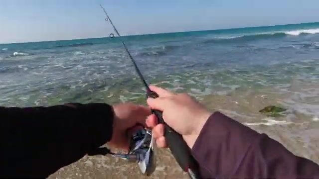 Ашкелон, 26 октября: штиль, прозрачная вода и сарагус под занавес