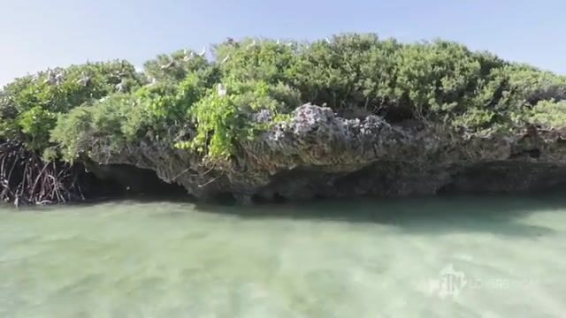 Слышали про охоту на каранкса на скатах Астове?