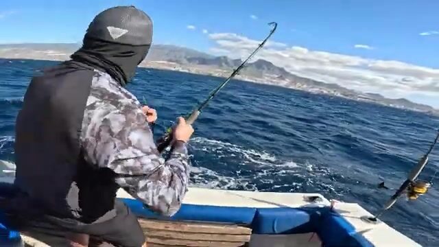 Рождественское утро на Тенерифе: восемь человек, лодка и упрямый тунец