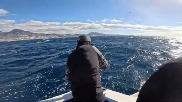 Рождественское утро на Тенерифе: восемь человек, лодка и упрямый тунец