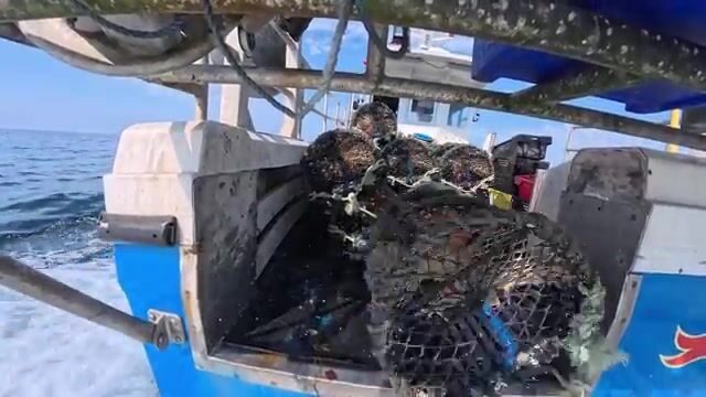 «Каждый день как лотерея»: 175 ловушек на омара в Атлантике