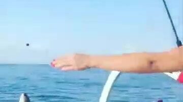 На каких рифах Чандидасы держится хищник?