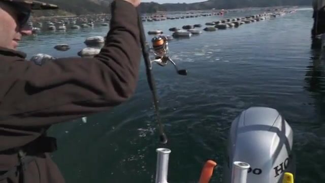 Впервые за штурвалом консольного катера в водах Окленда