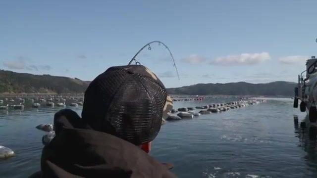 Впервые за штурвалом консольного катера в водах Окленда