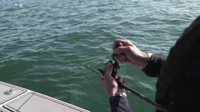 Впервые за штурвалом консольного катера в водах Окленда