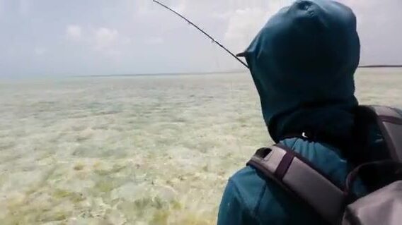Четырнадцать дней под парусом к отмелям Карибского моря ради одного бонефиша