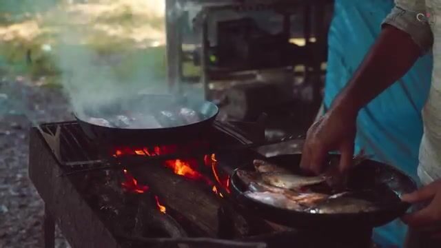Каспий за час: сколько рыбы правда наловишь с берега?