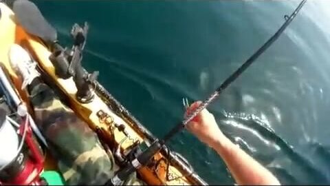 Катания, каяк и гигантская лампуга на связке пальмовых веток