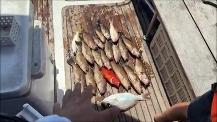 Пирс Чалонг, семь утра: лодка капитана Бао уходит в море