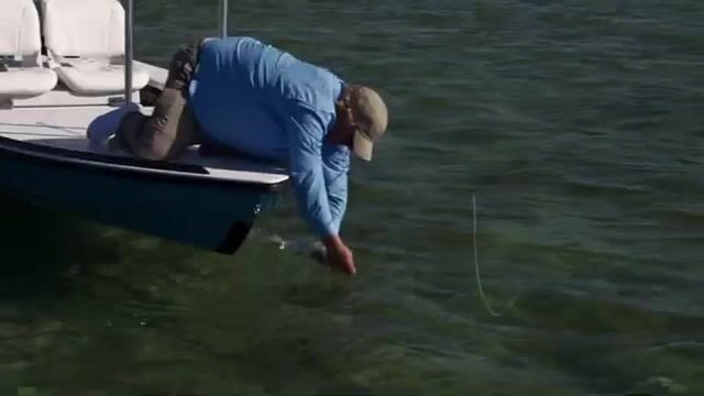 66 рыб за день: рекорд гидов курорта Абако Лодж на Багамах