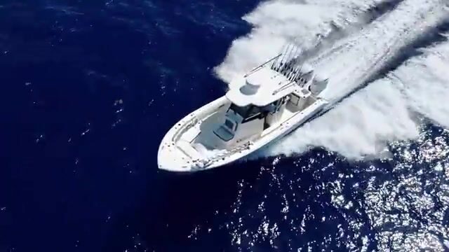 Прошли 270 миль до Абако и выловили дорадо у самого борта