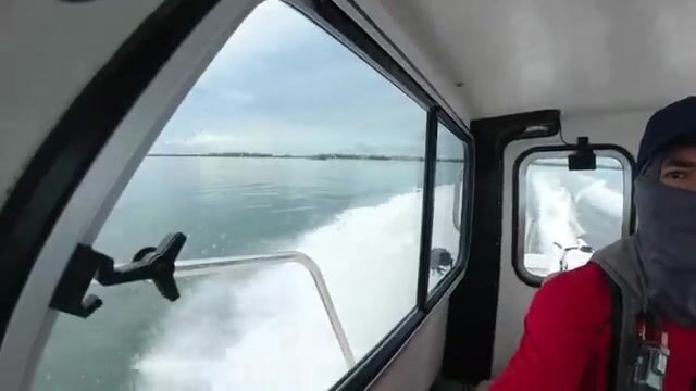 Дождь над Абако (Багамы): глубокая донка с рубки моего катера