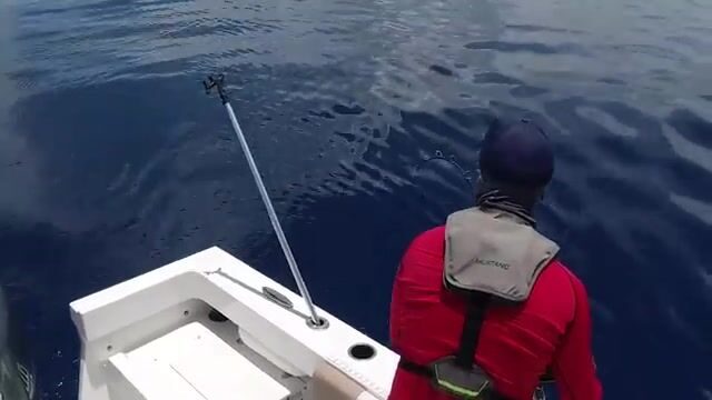 Дождь над Абако (Багамы): глубокая донка с рубки моего катера