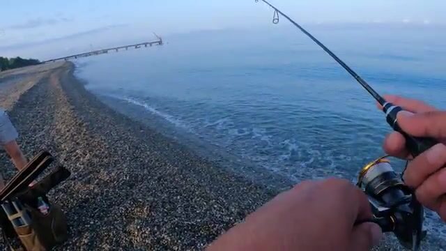 Бери два грамма вольфрама и иди на рассвете к абхазскому берегу за горбылём