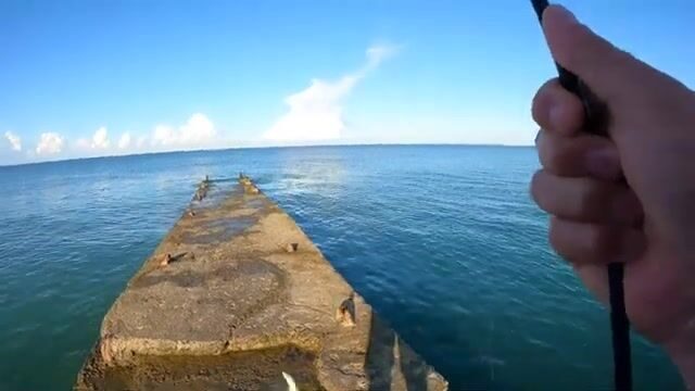 «Барабулька сразу уснула» - утро со спиннингом в Адлере