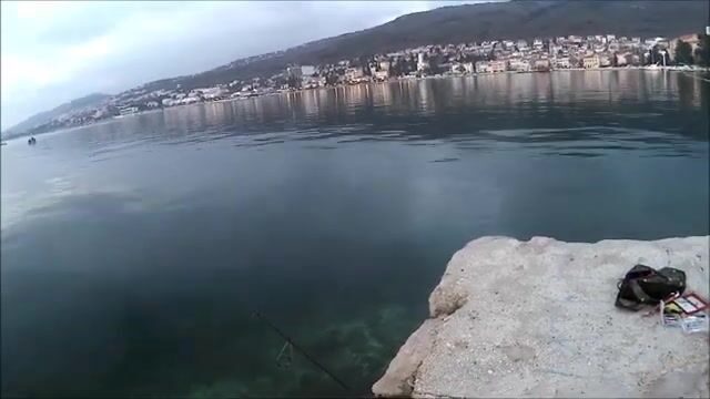 Зимняя ставрида под причальным фонарём в Адриатике