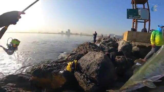 Аджманский мол в сумерках: кингфиш подходит на бросок спиннинга