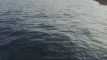 Аль-Лит, Красное море: джиггинг на рифовом свале, групер и снэппер в улове