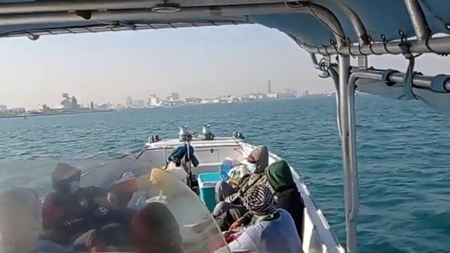 Что берёт на песчаной косе Аль-Сафлии, пока не пришёл прилив?