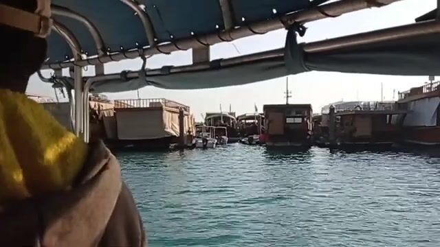 Что берёт на песчаной косе Аль-Сафлии, пока не пришёл прилив?