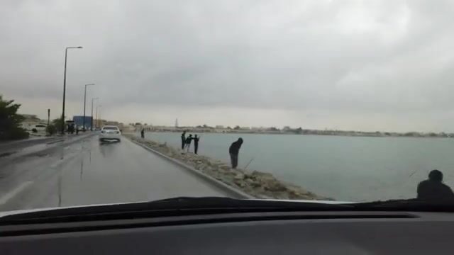 Волнолом Аль-Вакры (Катар): групер днём, кальмар после заката