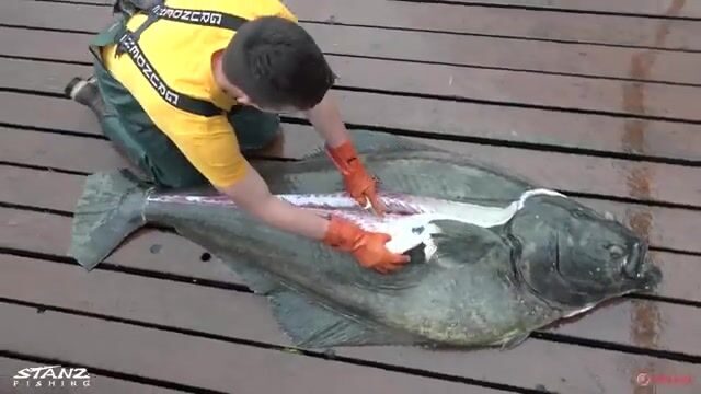Рекорд лоджа на Аляске: 222 фунта палтуса
