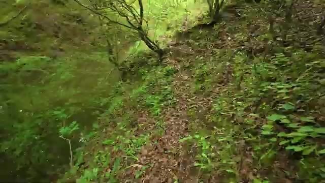 «Здесь ловить нельзя» - урок озера Топана в Албании