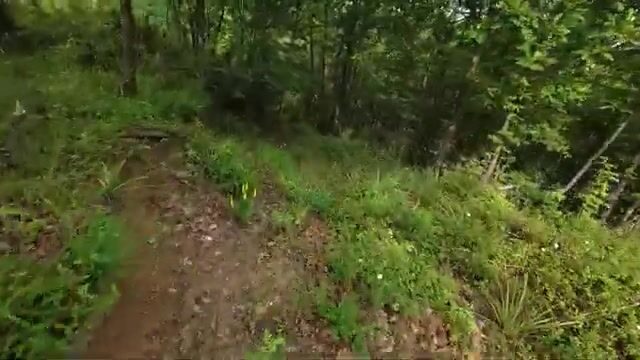 «Здесь ловить нельзя» - урок озера Топана в Албании
