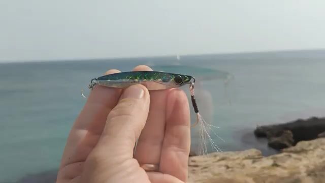 Лови морского окуня на Алгарве (Португалия), меняя катушку и цвет приманки