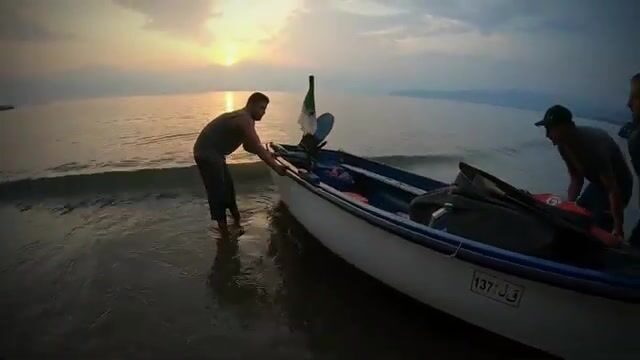 Ночные фонари алжирского пирса и стая ставриды