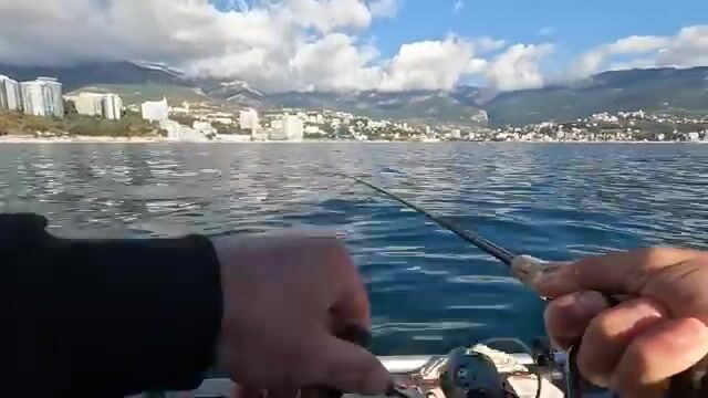 Сарган молчит, а под Алупкой клюёт селёдка на пилькер