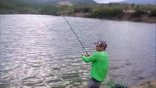 Корми точку заранее, и карп на озере Бам под Алуштой возьмёт