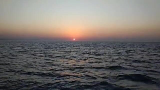 Рассвет над Алуштой и дельфины у борта катера