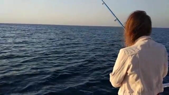 Рассвет над Алуштой и дельфины у борта катера