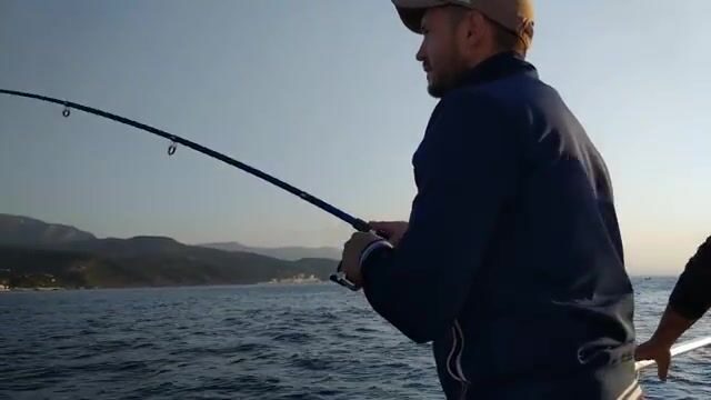 Рассвет над Алуштой и дельфины у борта катера