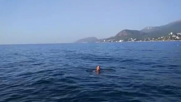 Рассвет над Алуштой и дельфины у борта катера