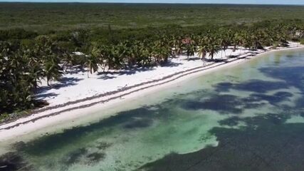 Гиды подняли нас в шесть утра ради костяной рыбы на отмелях Амбергрис-Ки