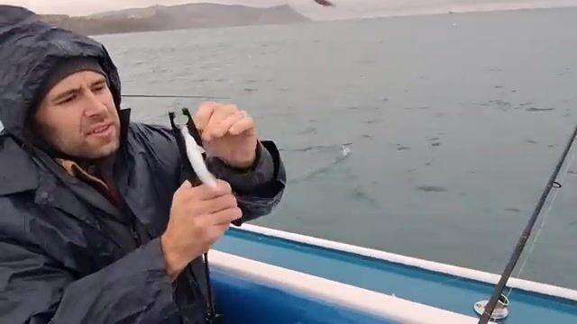Дождь, восемь градусов и шторм месяц назад - а бубырь всё равно клюёт у Анапы