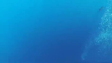 Штиль над Андаманским морем, а под лодкой уже ходит стая каранксов