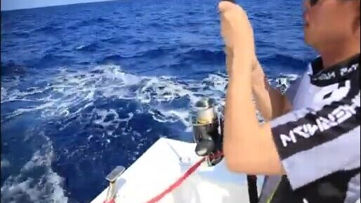 Штиль над Андаманским морем, а под лодкой уже ходит стая каранксов