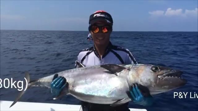 Штиль над Андаманским морем, а под лодкой уже ходит стая каранксов