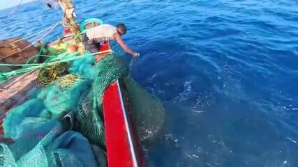 Ищи хищника там, где Аравийское море бьётся о скалы Омана
