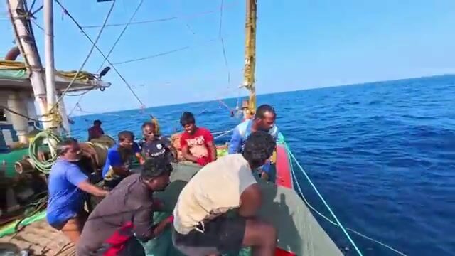 Ищи хищника там, где Аравийское море бьётся о скалы Омана
