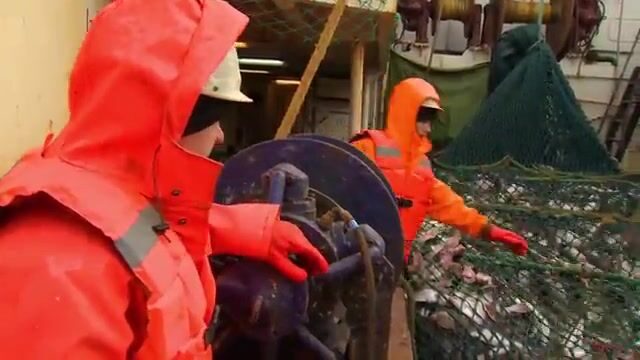 Пять суток штормит в Северном Ледовитом, а трюм тральщика всё ещё пуст
